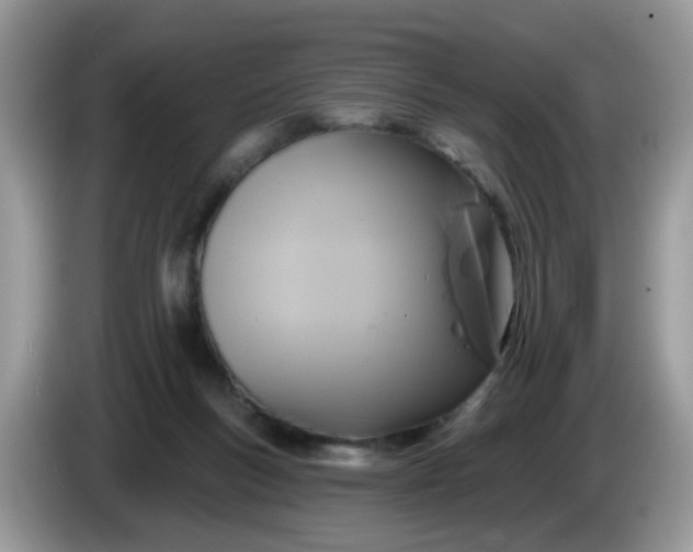 X0000086220167200704121903