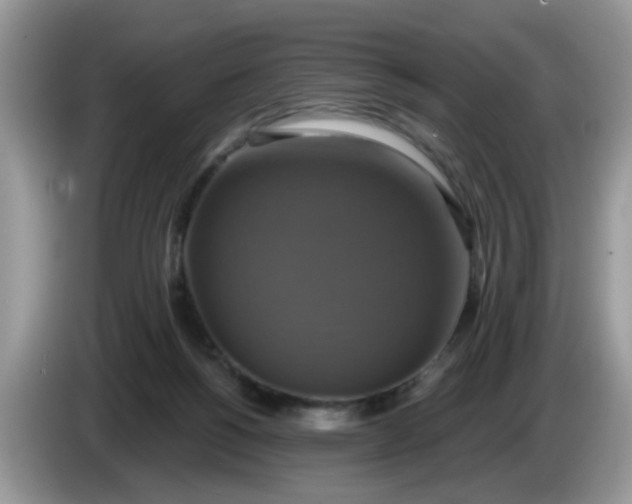 X0000086220168200704121903