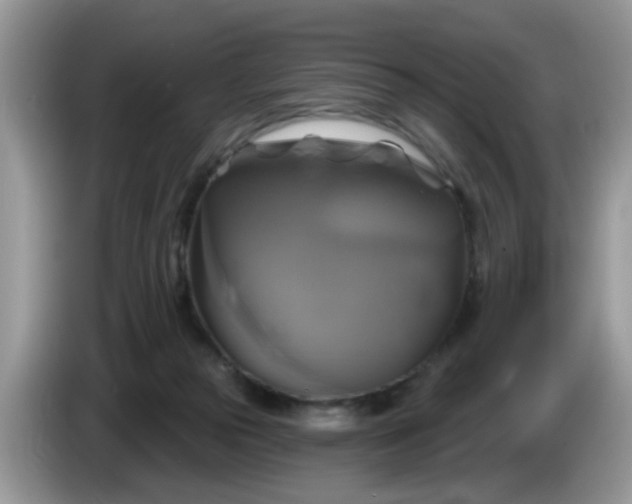 X0000086220169200704121903