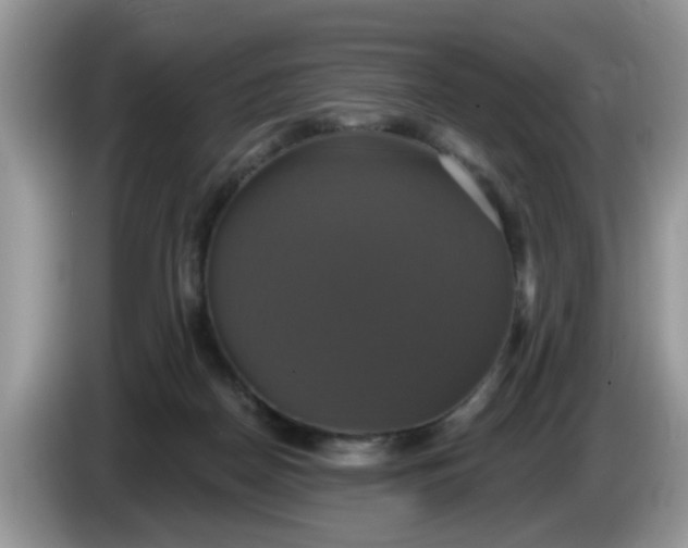 X0000086220170200704121903