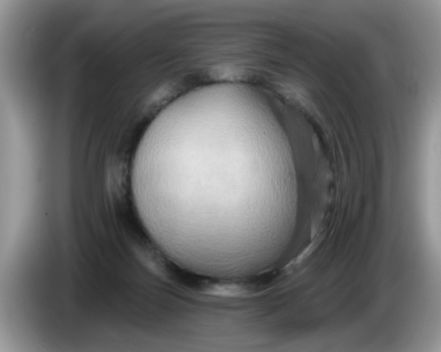 X0000086220171200704121903