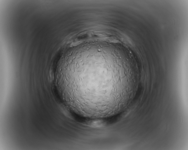 X0000086220173200704121903