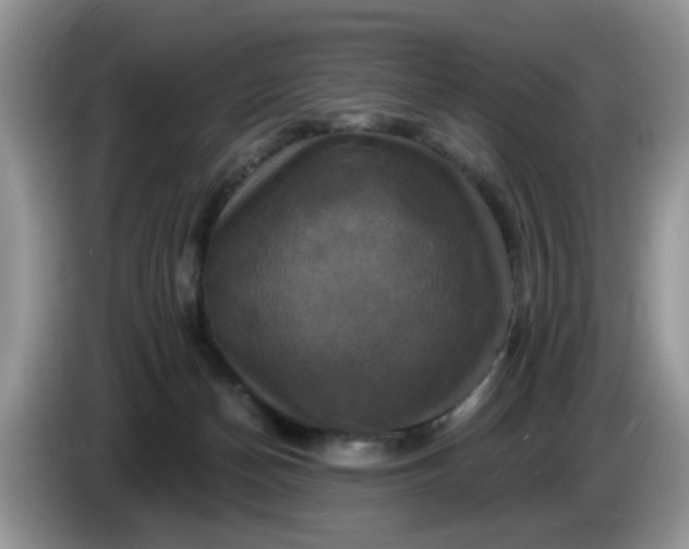 X0000086220174200704121903