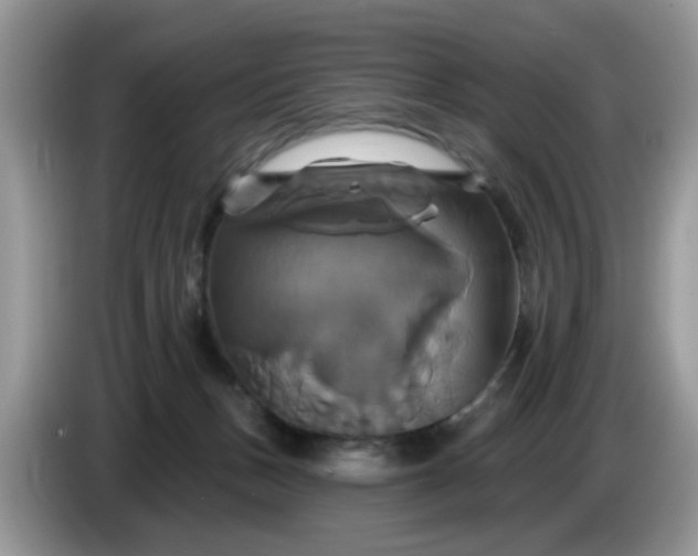 X0000086220175200704121903