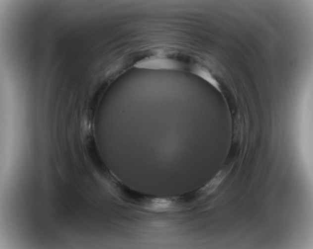 X0000086220176200704121903