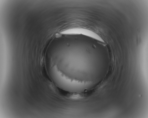 X0000086220177200704121903