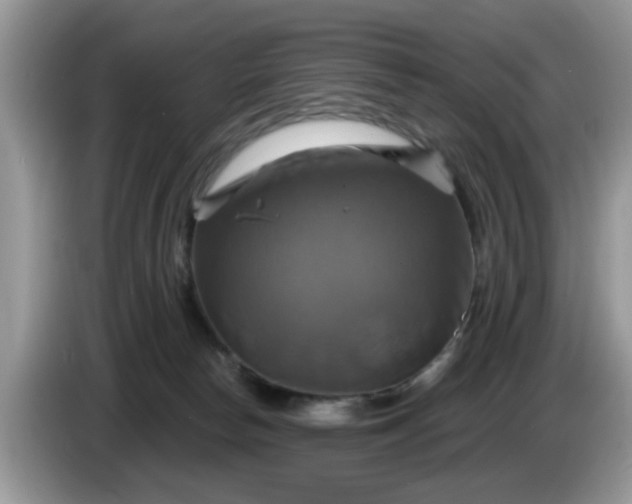 X0000086220178200704121903