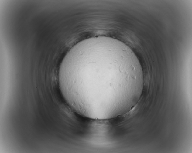 X0000086220179200704121904