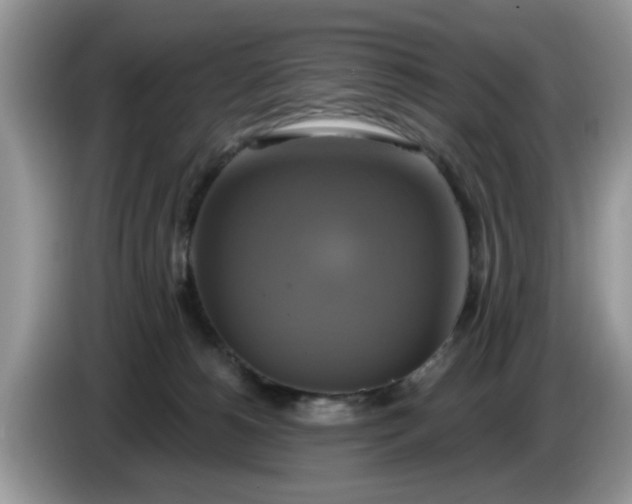 X0000086220180200704121904