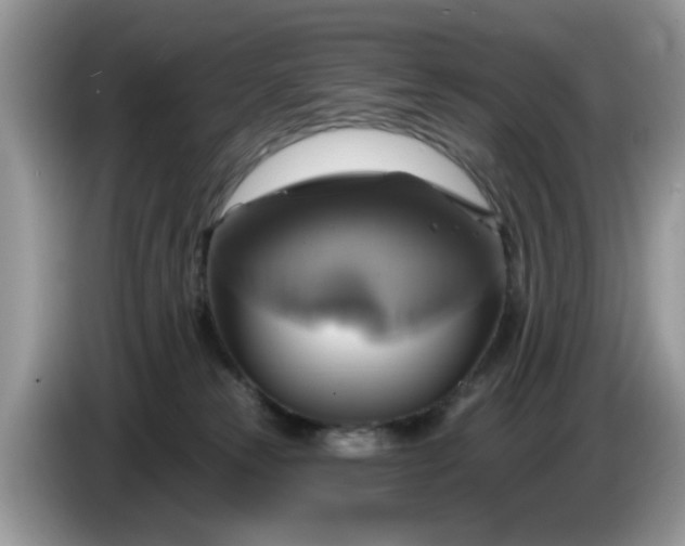 X0000086220181200704121904