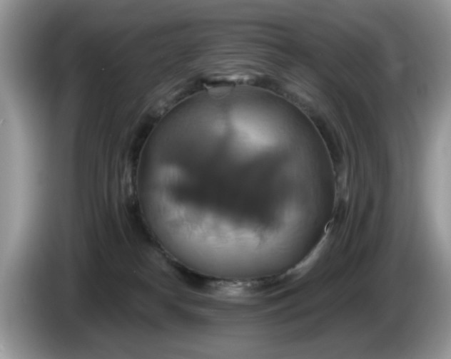 X0000086220182200704121904