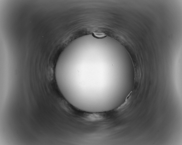 X0000086220183200704121904