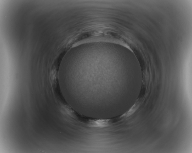 X0000086220184200704121904