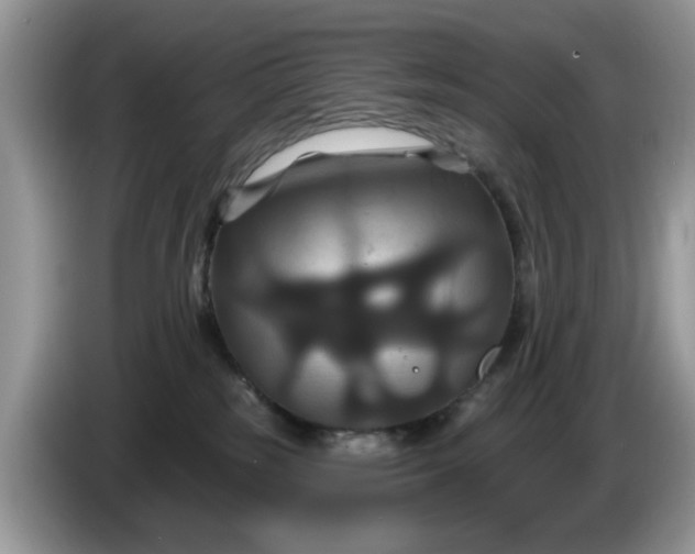 X0000086220185200704121904