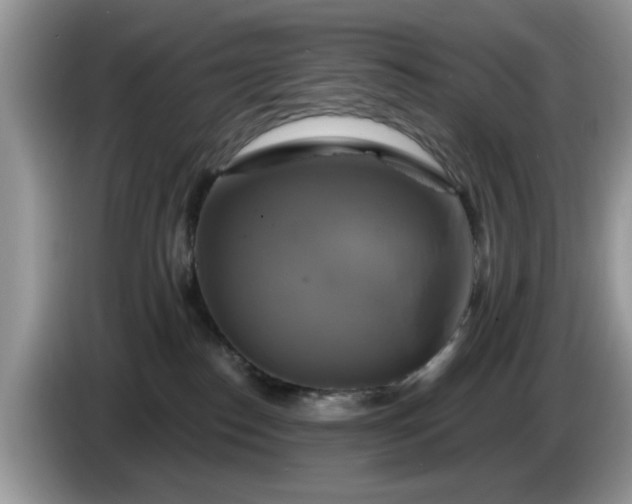 X0000086220186200704121904