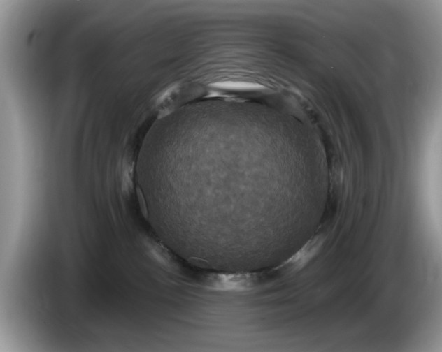 X0000086220188200704121904