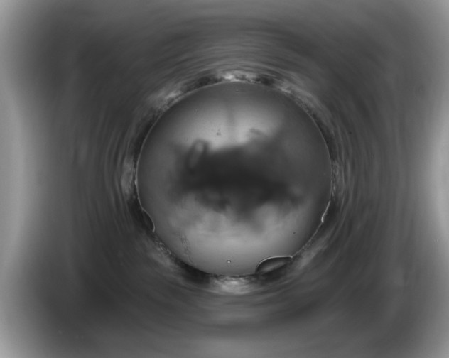 X0000086220189200704121904