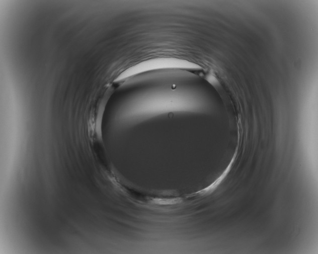 X0000086220190200704121904