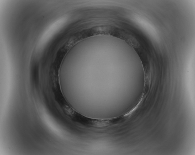 X0000086220191200704121904