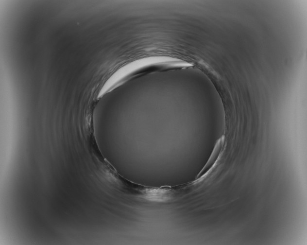 X0000086220192200704121904