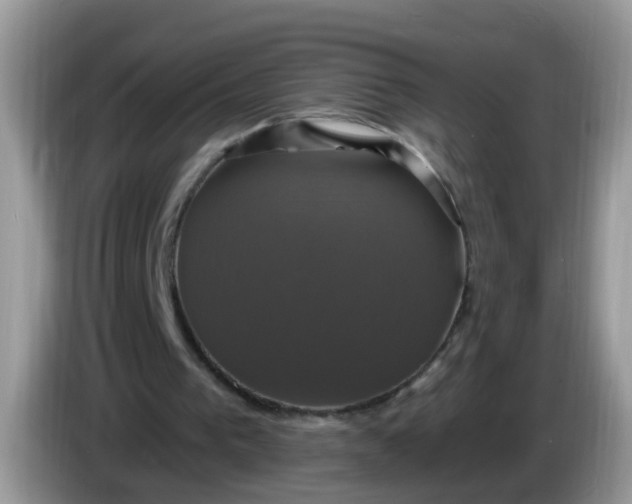 X0000086220193200704121903