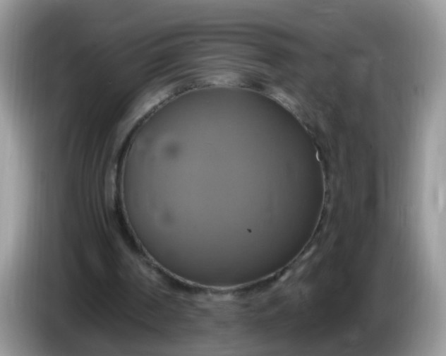 X0000086220194200704121903