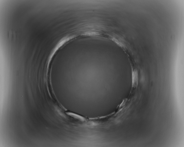 X0000086220195200704121903