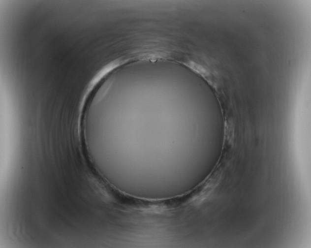 X0000086220196200704121903