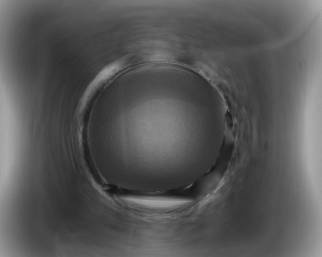 X0000086220197200704121903