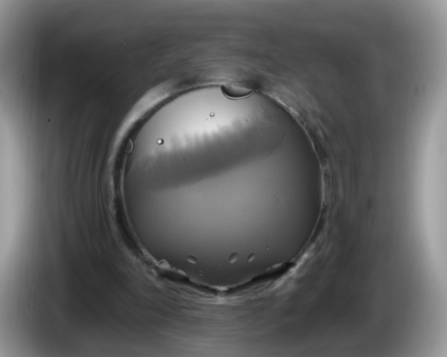 X0000086220198200704121903