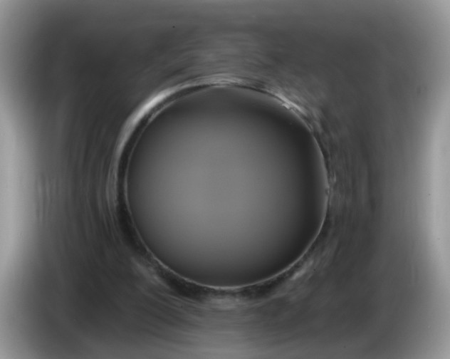 X0000086220200200704121903