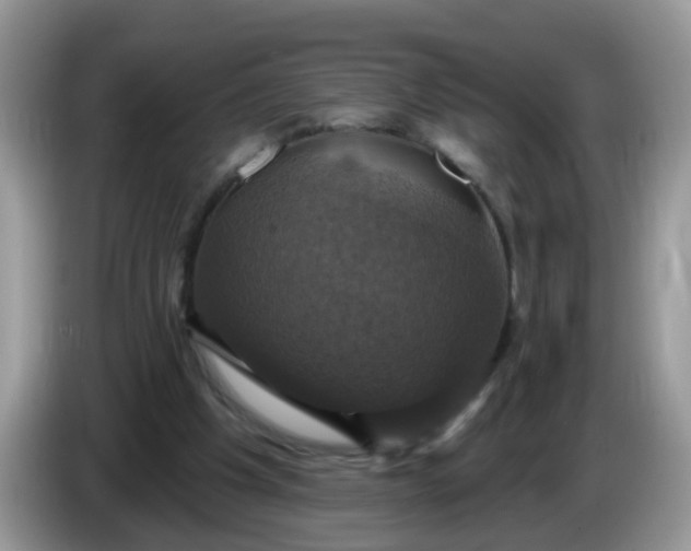 X0000086220201200704121903