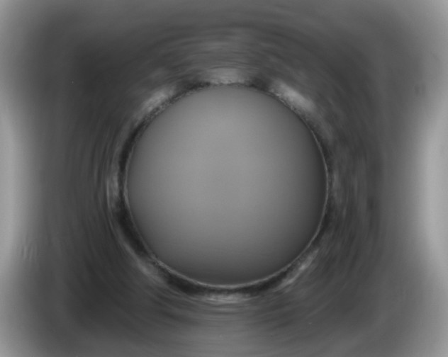 X0000086220202200704121903