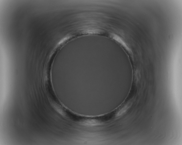 X0000086220203200704121903