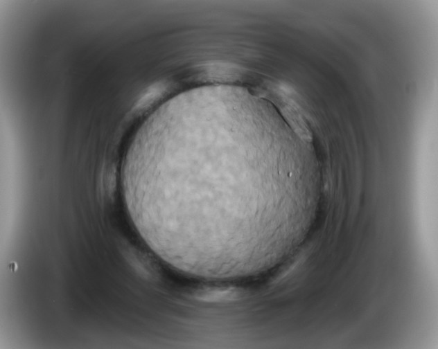 X0000086220206200704121903