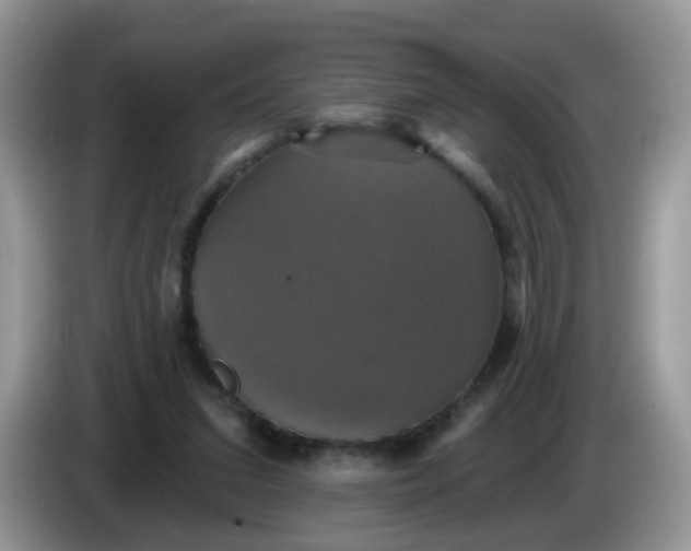 X0000086220207200704121903