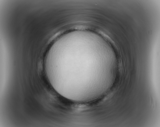 X0000086220208200704121903