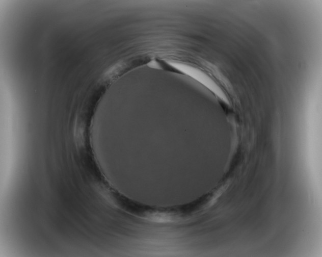 X0000086220209200704121903