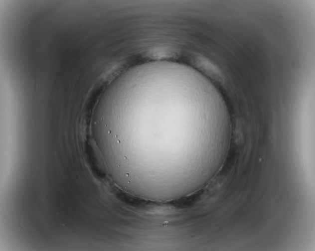 X0000086220210200704121903