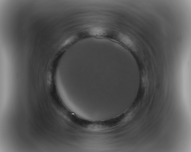 X0000086220211200704121903