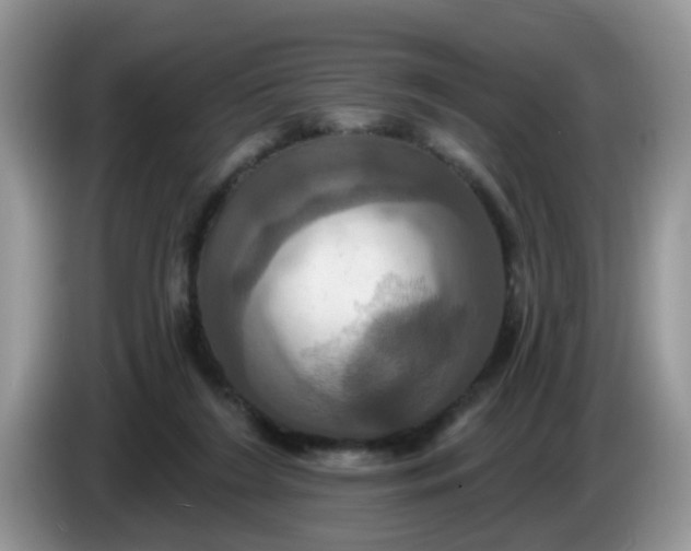 X0000086220212200704121903