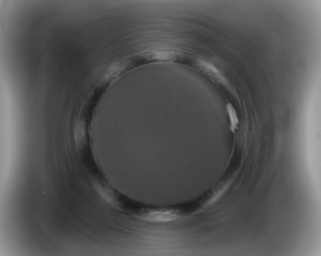 X0000086220213200704121903