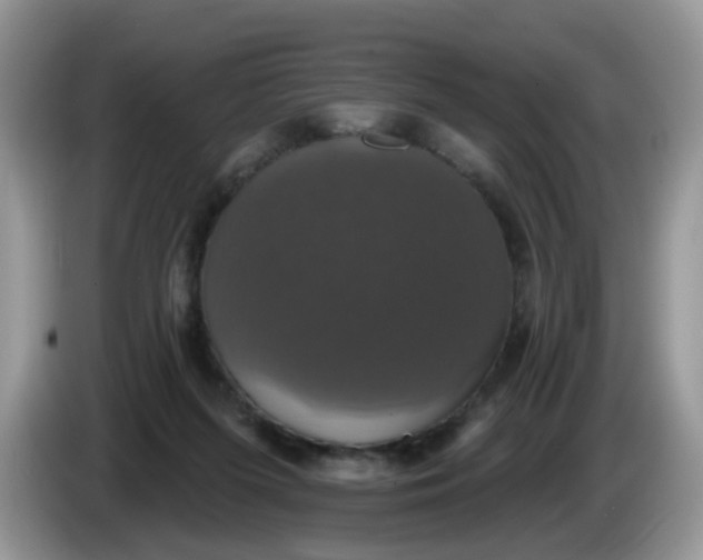 X0000086220215200704121903