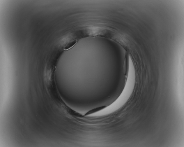 X0000086220219200704121903