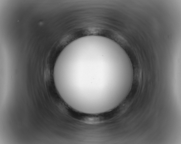 X0000086220220200704121903