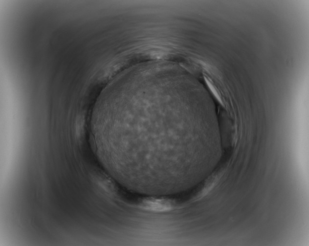 X0000086220221200704121903