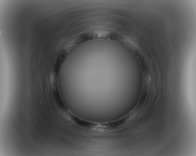 X0000086220222200704121903