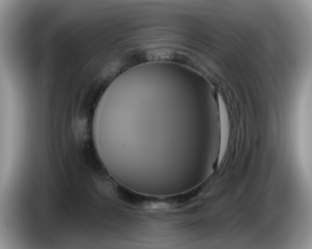 X0000086220224200704121903