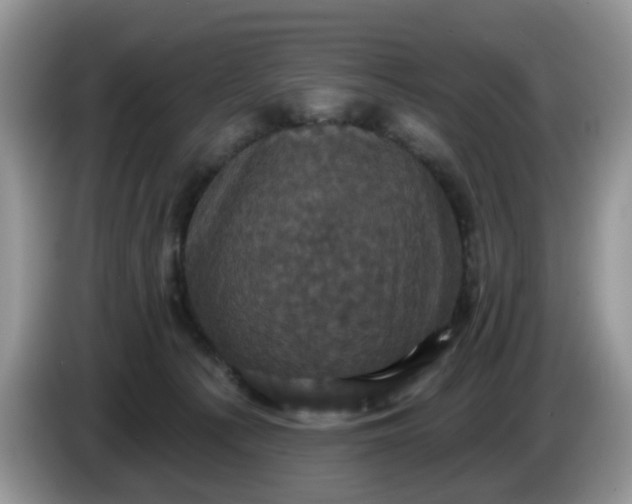 X0000086220225200704121903