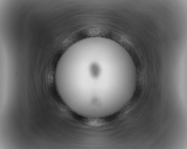 X0000086220226200704121903